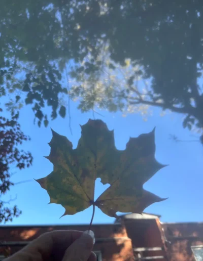 green leaf with heart cutout symbolizing healing and spiritual connection Baltimore