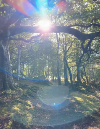 rainbow light being in forest representing spiritual healing and divine guidance